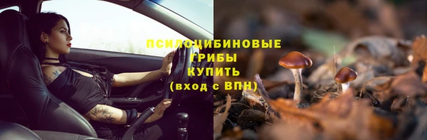 прущие крисы Дмитровск