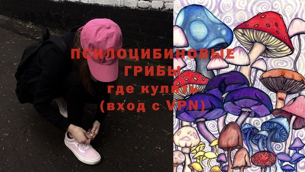 MDMA Premium VHQ Дмитров