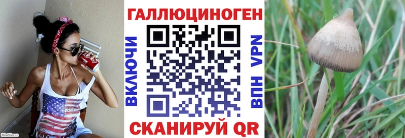 Псилоцибиновые грибы мухоморы  дарнет шоп  hydra как зайти  Реж 