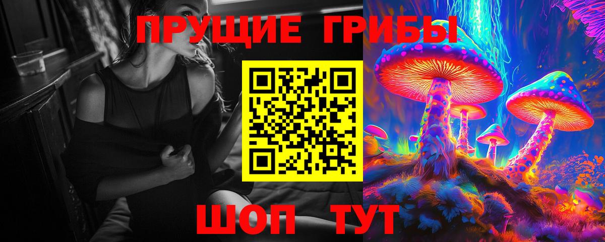 Галлюциногенные грибы мицелий  Псилоцибиновые грибы прущие грибы  Вход с VPN  магазин    Реж 